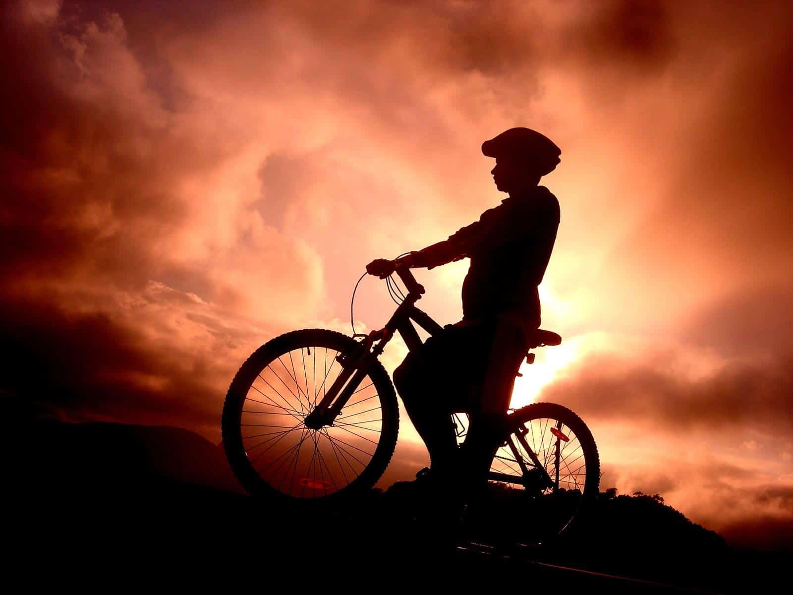 Bicycle Helmet
