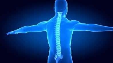image of a person focusing on their spine