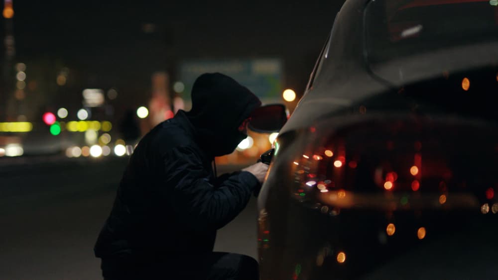 Does Liability Insurance Cover Theft