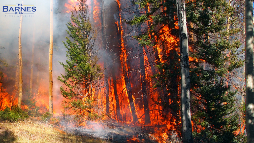 A wildfire burns in fir and aspen forest